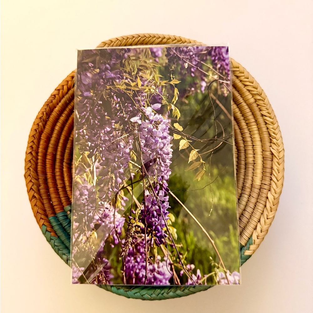 🪻🍃 4x6 Purple Wisteria Floral Print
